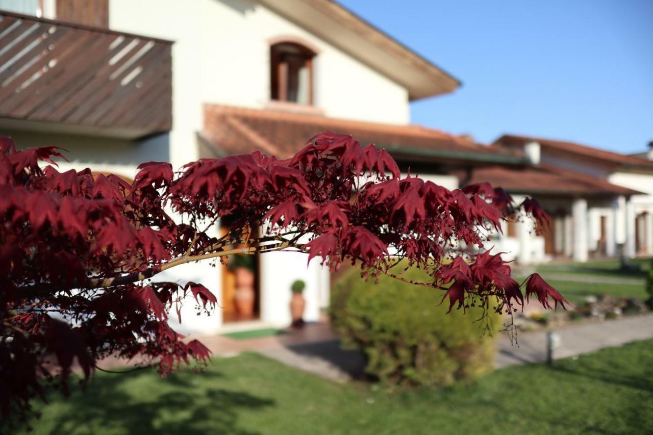 B&B La Pecora Nera Belluno Exterior foto